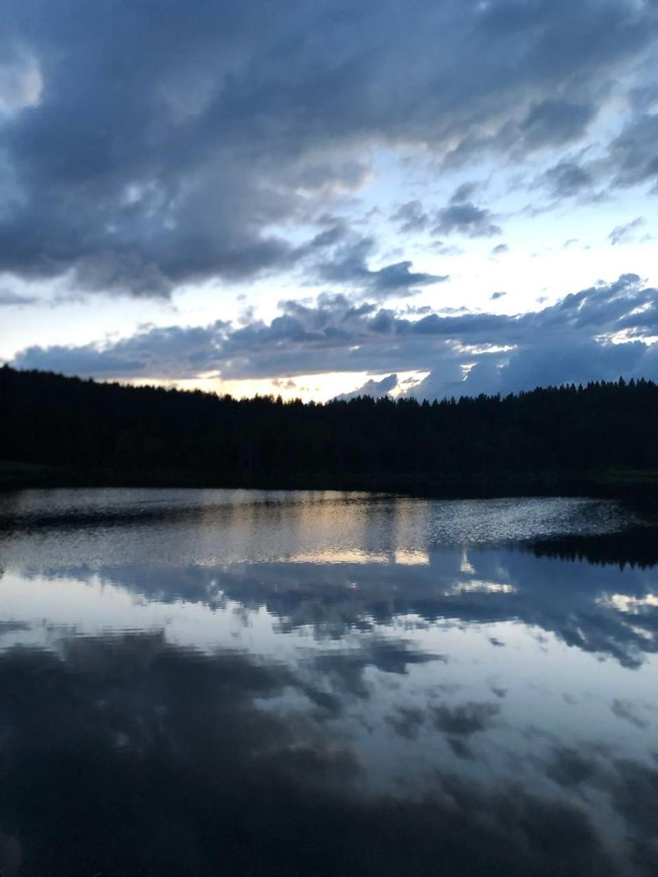 Natur- & Aktivoase Buchenberg  Экстерьер фото