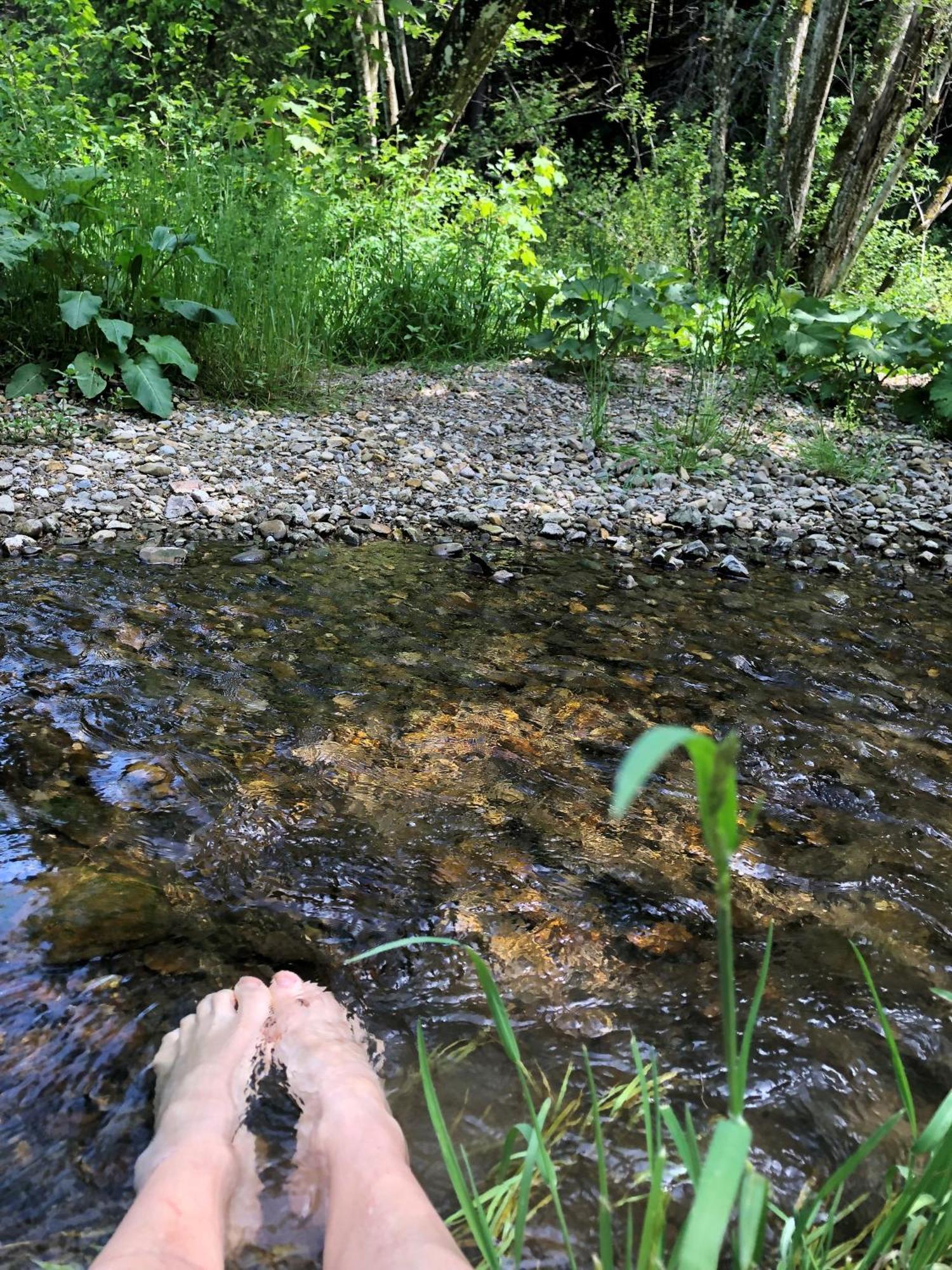 Natur- & Aktivoase Buchenberg  Экстерьер фото